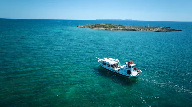 Boat Tours